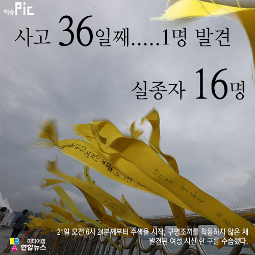 <세월호참사> 사고 36일째…1명 발견, 실종자 16명(종합) - 1