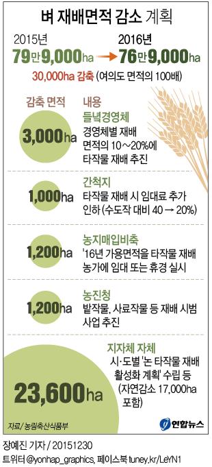 남는 쌀 사료로…내년, 여의도 100배 면적 논 줄인다(종합) - 1