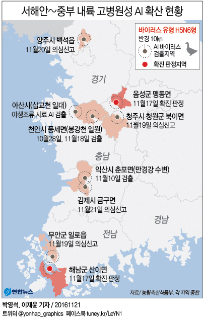 <그래픽> 서해안~중부 내륙 고병원성 AI 확산 현황