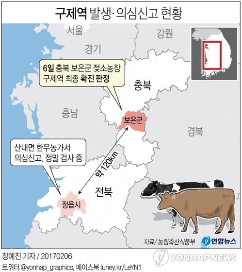보은 젖소농가 이어 정읍 한우농가까지…구제역 악몽 되살아나나(종합2보) - 3
