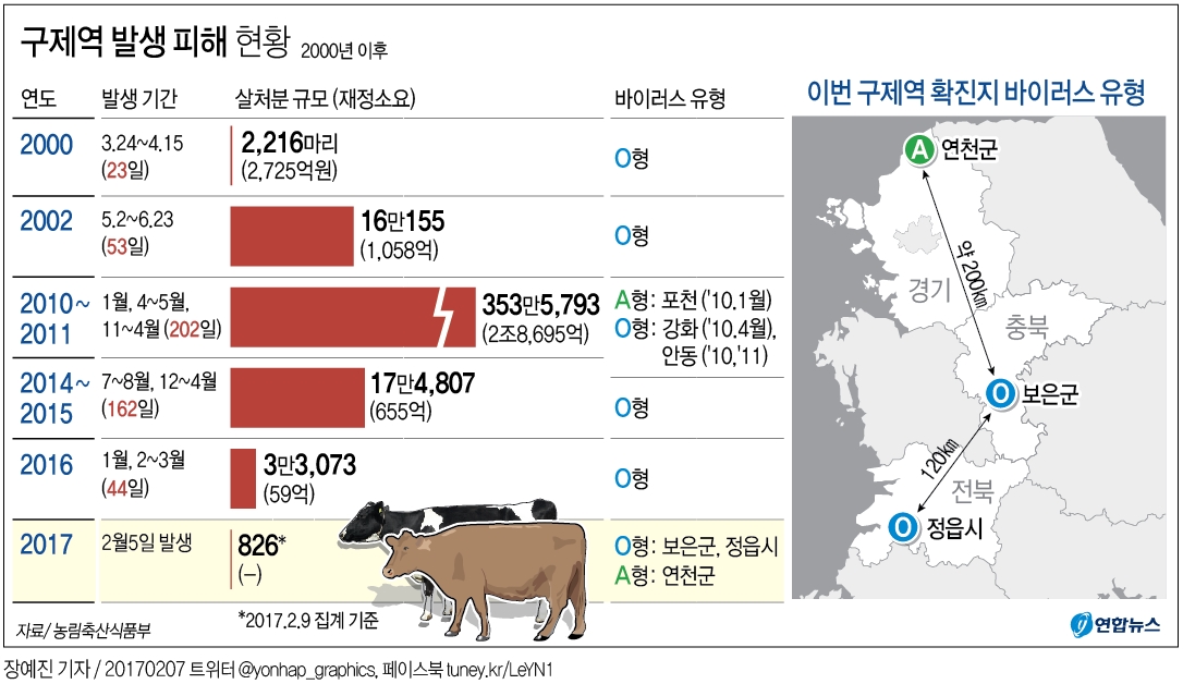 구제역 A·O형 동시발생, 방역 대혼란…백신 수입 1주일 걸려(종합2보) - 4