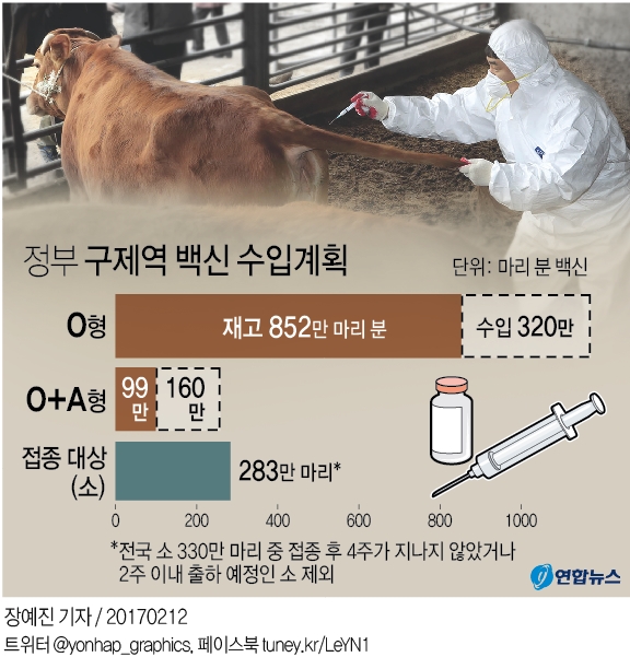 구제역 A형에 한달가량 무방비사태…돼지로 번지면 속수무책(종합) - 4