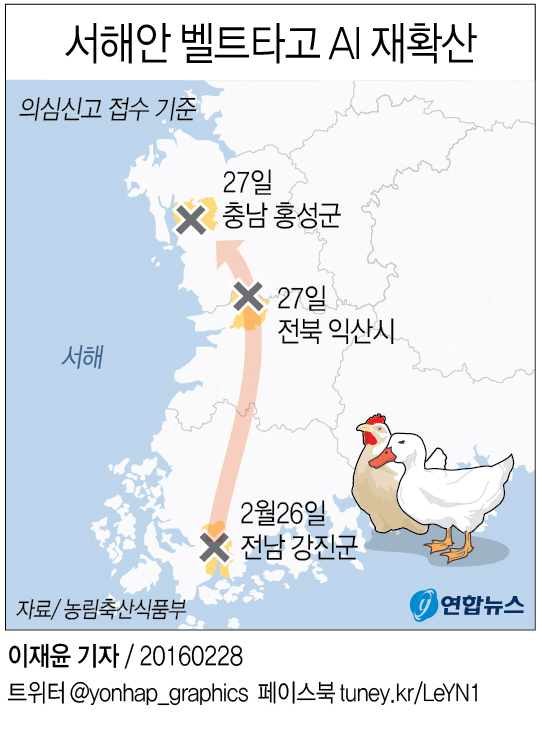 서해안벨트서 AI 발생 잇따라…재확산 가능성에 긴장감 고조 - 2