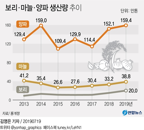 '반갑지 않은 풍년'…올해 양파 생산량 159만t 역대 최다 - 1