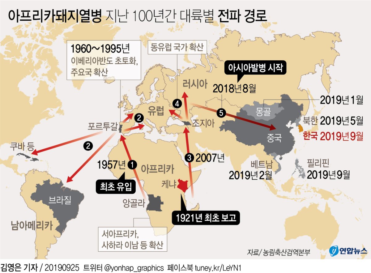 확산일로 돼지열병, 100년간 아프리카→유럽→아시아 강타 - 2