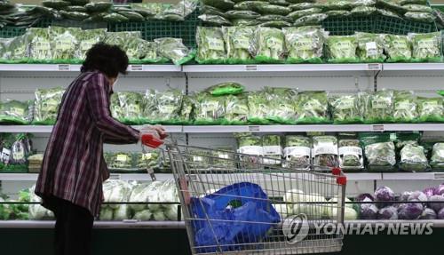 This file photo shows a citizen going grocery shopping at a discount mart in Seoul. (Yonhap)
