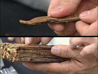 <국산둔갑한 중국산 장뇌삼..농약도 검출> - 2