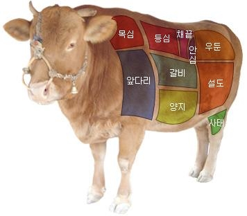 <재밌는 한우 부위별 이름의 유래는> - 2