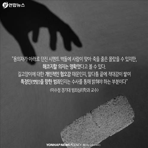 <카드뉴스> "민폐 동물에 왜 먹이 주나요"…캣맘 두고 갑론을박 - 10