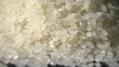 남는 쌀 사료로…내년, 여의도 100배 면적 논 줄인다(종합) - 3