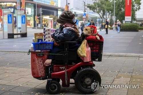 <최강한파> 대만 영상2도 '43년만 혹한'…36명 저체온증 '동사' - 2