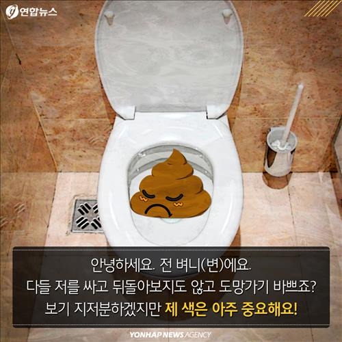 <카드뉴스> '큰일' 봤으면 확인은 필수…변 보면 건강 보인다 - 3