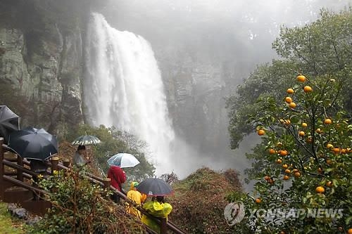 <주말 N 여행> 제주권: 폭우 쏟아져야 볼 수 있다는 '장관'…폭포 기행 '강추' - 2