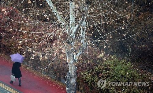 충북 포근한 날씨 속 겨울비 지속…낮 최고 16도 - 2