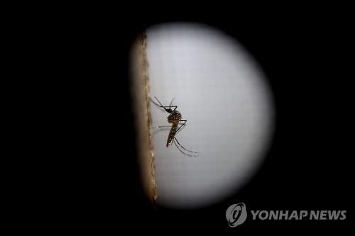 필리핀, 지카 바이러스 공포에 "임신 내년으로 미뤄라" - 2