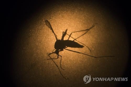 "지카바이러스 막자" 지하철 5∼8호선 모기 방역 - 2