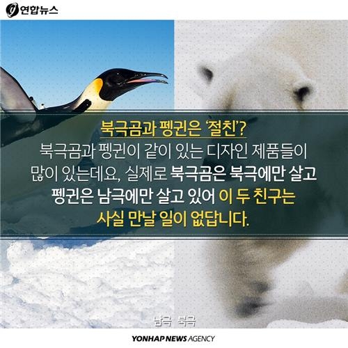 <카드뉴스> '비교체험 극과 극'…알쏭달쏭한 남극ㆍ북극의 차이 - 7