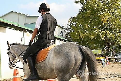 말산업 육성…말산업 특구·유소년 승마 지원 - 2