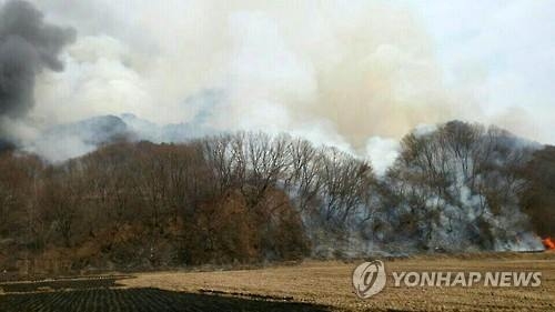 철원 산불로 3㏊ 소실·지뢰 터져…잔불 정리 중 - 2