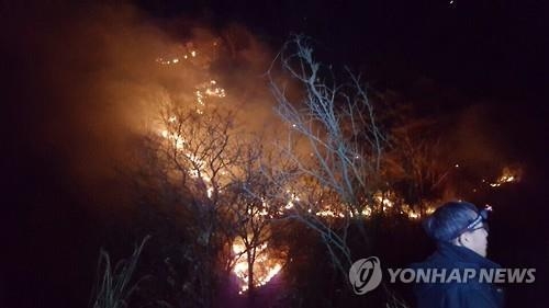 소백산 화재 원인도 밭두렁 소각…효과 없다는데 왜 태우지? - 2