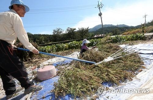< SNS돋보기> 늙어가는 시골마을…"귀농 환경요건 갖춰야" - 2