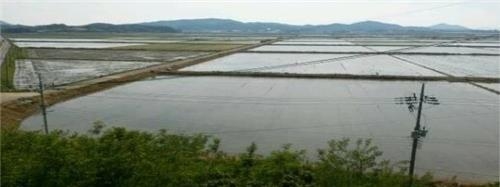 고흥만·금산신춘 지구 배수개선사업 추진 - 2