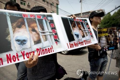 '中 개고기축제 중단' 청원에 1천만명 서명…"축제 아닌 악몽" - 2