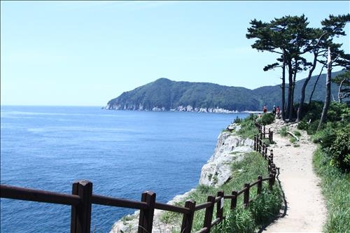 <가고 싶은 섬> 동백터널이 만드는 별천지…거제 지심도 - 4