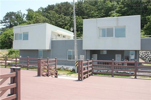<가고 싶은 섬> 야생의 매력, 안산 풍도 - 15