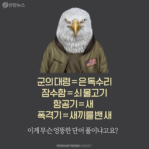 <카드뉴스> 고맙습니다, 나바호족 참전용사들! - 2