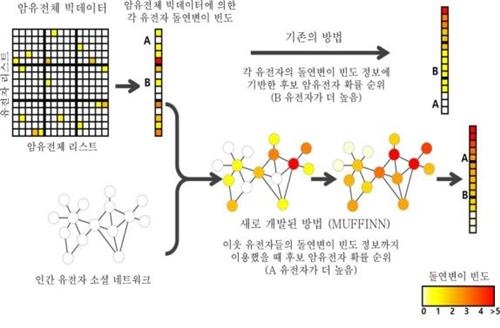 '네트워크' 이용해 암 유전자 찾는 새 시스템 개발 - 2