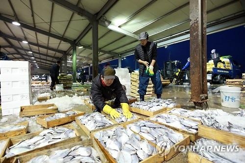 '金병어·銀밴댕이'…안 잡히는 제철 생선 값 껑충 - 4