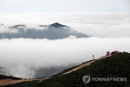 '열대야?'…태백은 "에어컨이 필요없는 여름 별천지" - 3