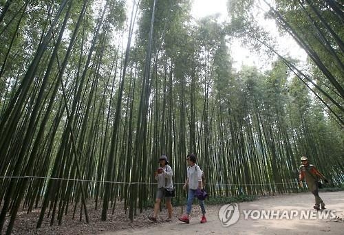 <휴가는 국내로> ⑩ '대통령 휴가지' 울산 십리대숲과 '포켓몬 성지' 간절곶 - 4