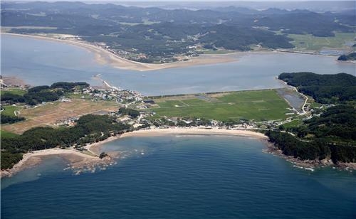 막바지 피서철 태안 해수욕장 축제 풍성 - 2