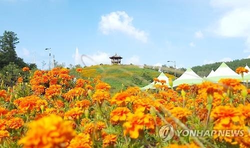 '전국 최대 농산물 잔치' 청원생명축제 내달 30일 개막 - 2