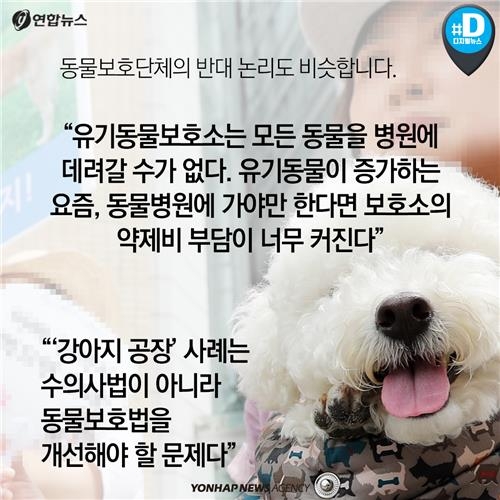 <카드뉴스> 배가 아픈데 어디로 가야하냥? 약국, 아니면 병원? - 7