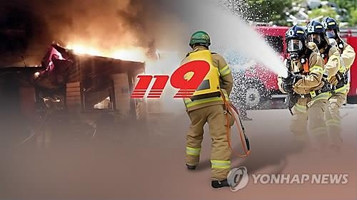 인천 덕적도 비조봉 정상서 불…임야 3천300㎡ 소실 - 1