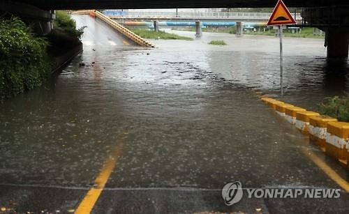 물에 잠긴 부산 온천천