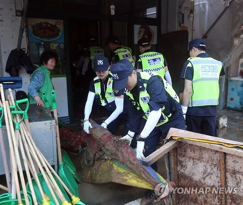 <태풍 차바> 복구 작업하는 의경