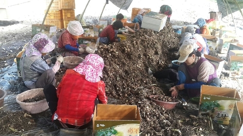 곡성 농촌일자리