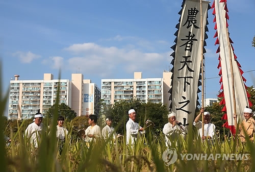 농경 체험행사, 연합뉴스 자료사진