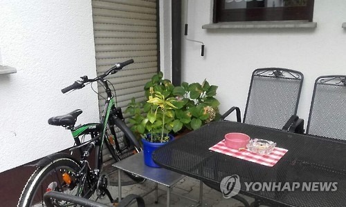 호텔 뒷마당