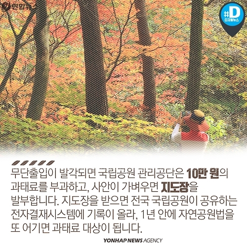 <카드뉴스> 불법 채취, 스릴 산행…가을 등산 문화의 현주소 - 8