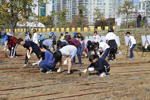 한강초등학교 학생들의 보리파종