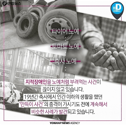 <카드뉴스> 2016년 대한민국에 노예가 살고 있다 - 6