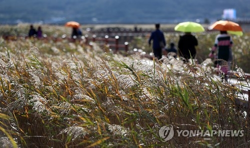 충북 약한 가을비…찬바람 쌩쌩 - 1