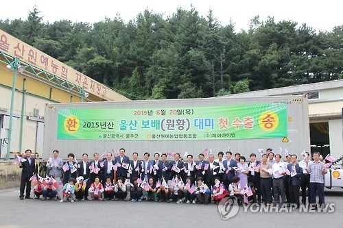 울산배 수출 모습