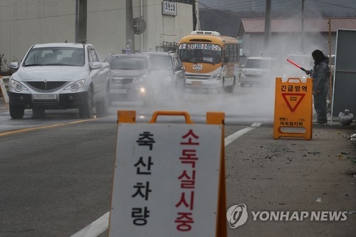양주 AI 의심 신고 '방역 비상'