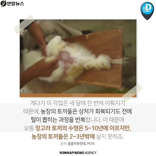 <카드뉴스> 우리가 따뜻해질수록 동물들은 웁니다 - 7